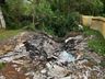Mutirão do Dia Mundial da Limpeza mobiliza voluntários em São Miguel do Oeste