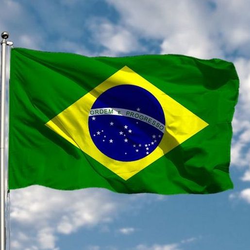 Uso de bandeira do Brasil em caminhão gera polêmica