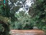 Chuvas de 100 milímetros em poucas horas causam estragos em Cedro