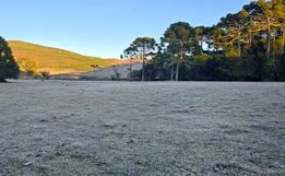 SC tem sequência gelada de inverno com mínima abaixo de -2ºC