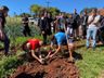 Lions Clube de Iporã do Oeste realiza mais uma etapa do Projeto 10 mil Árvores