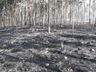 VÍDEO: Aumento de incêndios deixa capacidade de atendimento dos bombeiros no limite 