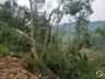 Ventos fortes causam grande destruição no interior de Iporã do Oeste