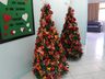 Mondaí define data para o Festival dos Pinheiros e acendimento das luzes de Natal