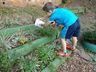 Escola de Itapiranga utiliza água dos climatizadores para trabalho com crianças  
