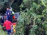 Acidente na BR-163 deixa motorista gravemente ferido