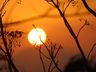 Semana começa com sol e calor intenso, e máximas se aproximam dos 40°C em SC