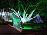 Grande público prestigia abertura da programação natalina em Santa Helena