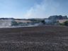 Incêndio em vegetação destrói cerca de 60 hectares de lavoura