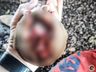 ONGs recolhem cães que tiveram caudas cortadas em São Miguel do Oeste
