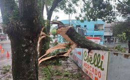 Forte temporal deixa feridos e muitos estragos em Francisco Beltrão