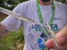 Setor de Endemias e Exército realizam ação de combate a dengue na comunidade da Pedreira, em SMO