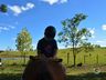 VÍDEO: Relação entre humanos e cavalos traz benefícios para o corpo e mente 