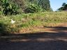 Polícia Militar Ambiental chama atenção para casos frequentes de descarte irregular de lixo