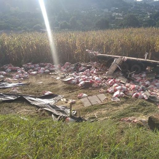 Caminhoneiro sofre ferimentos leves em tombamento na SC-161
