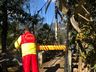 Corpo de Bombeiros Militar encontra vítima desaparecida em Canelinha