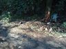 Colisão em árvore deixa feridos na SC-163 em Itapiranga 