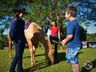 VÍDEO: Relação entre humanos e cavalos traz benefícios para o corpo e mente 
