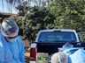 Segundo macaco é encontrado morto em Itapiranga em menos de 15 dias