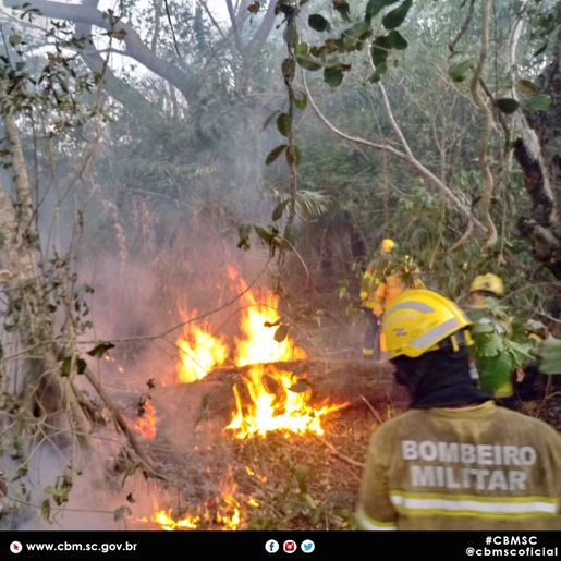 VÍDEO: Bombeiros que atuaram na Operação Pantanal retornam a SC