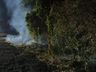 Bombeiros trabalham três horas e meia em incêndio no interior 