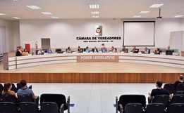 Vereadores rejeitam audiência pública sobre causa animal em São Miguel do Oeste