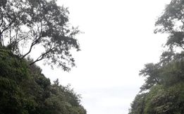 Veículo capota na BR-158 em Cunha Porã