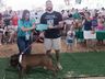 Desfile de cães tem presença de 20 animais na Efrait 2024