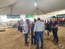 Avaliação de bezerras e novilhas é realizada na 11ª Efrait de Itapiranga