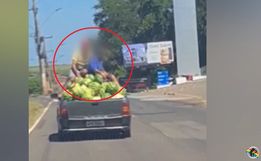 VÍDEO: motorista flagra homens dividindo espaço com carga de melancia
