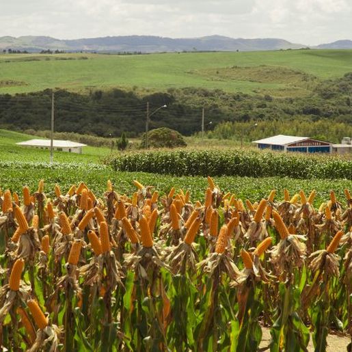 Programa Terra Boa 2024 será lançado nesta quarta na região