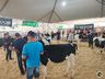 Avaliação de bezerras e novilhas é realizada na 11ª Efrait de Itapiranga