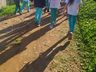 Alunos do CEMEG realizam visita de estudos à nascente do Rio Cedro