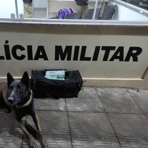 Mulher é presa por tráfico de drogas em São Miguel do Oeste