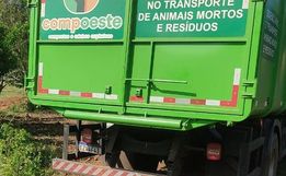 Municípios sugerem padronizar valores de recolha de carcaças de animais