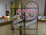 Câmara de Vereadores inaugura galeria Lilás e presta homenagem às mulheres