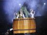 Espetáculo abre 46ª Oktoberfest na cidade de Itapiranga