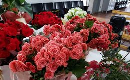 CAESP prossegue Primeiro Feirão de Flores até sexta-feira
