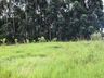 OUÇA: Peperi anuncia projeto para Parque Florestal na Linha Emboaba