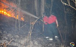 Morador reclama de queimadas constantes em área de reflorestamento de SMOeste 