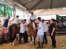 Equoterapia com alunos da APAE de Itapiranga integra programação da Efrait