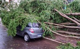 Temporal deixa rastro de destruição em Iraí; confira fotos