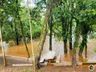 Redução do nível de água do Rio Uruguai traz tranquilidade para Itapiranga