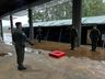 Militares do Exército prestam juramento à Bandeira em solenidade do Dia do Soldado