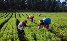 Sucessão familiar será um dos projetos da Casa Familiar Rural neste ano