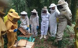 Encontro aborda o melhoramento genético de abelhas em Iporã do Oeste