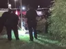 Homem confunde jacaré com cão e acaba mordido