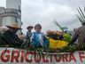 IPORÃ DO OESTE: Desfile cívico movimenta a Avenida Gustavo Fetter; assista