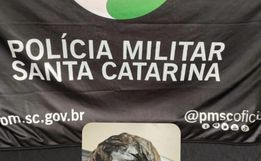 Polícia Militar prende motorista com cocaína após perseguição em Descanso  