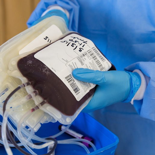 Secretaria de Saúde de SMO disponibiliza até 30 vagas para doação de sangue 